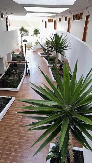 Ferienwohnung Modern,Strandnaehe, Club Olympus, Garten City Tenerife Playa Fanabe Exterior photo